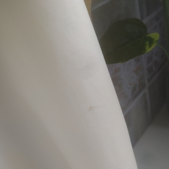 Bundle of 2 Eddie Bauer dress shirts - Picture 9 of 9